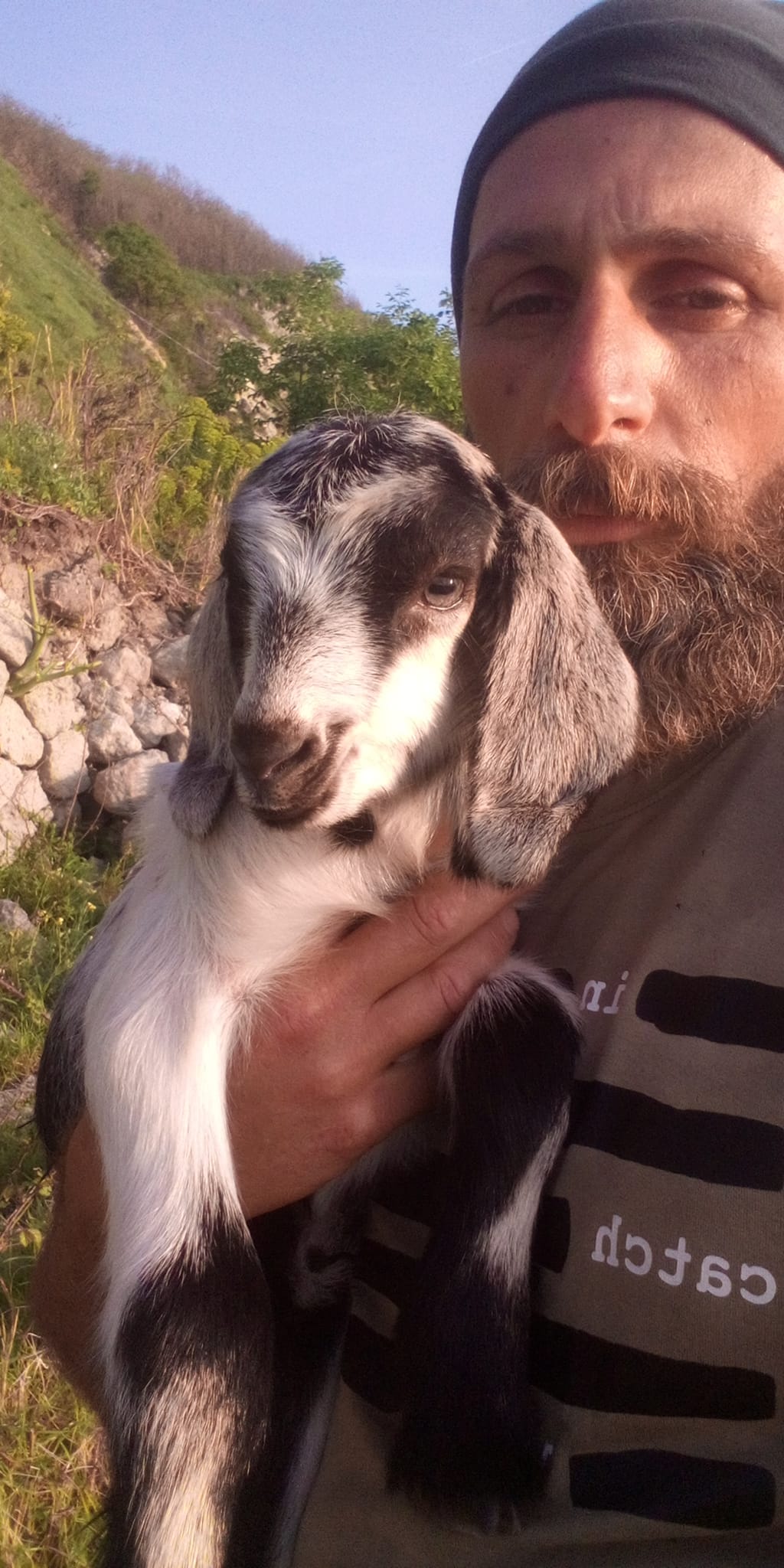 È nata “Speranza”, l’ultima capretta di Corbaro
