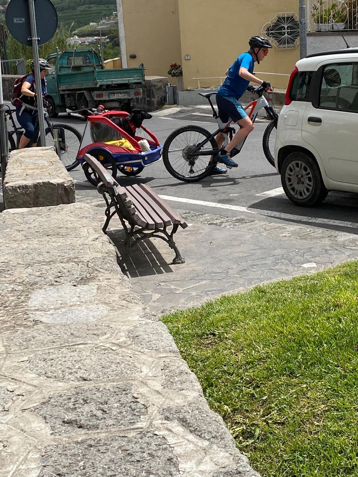 Un cane nel passeggino trainato con una bici per le strade di Barano