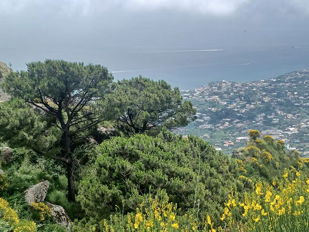 Ischia vuota, Forio ieri la festa breve e l’illusione della serata