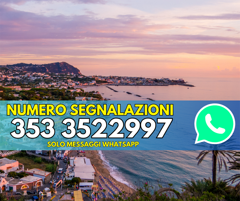 Un numero WhatSapp per inviare segnalazioni