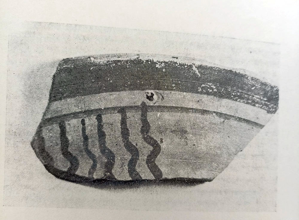 TRATTO DA “ISCHIA, ARCHEOLOGIA E STORIA”: CAVAGRADO