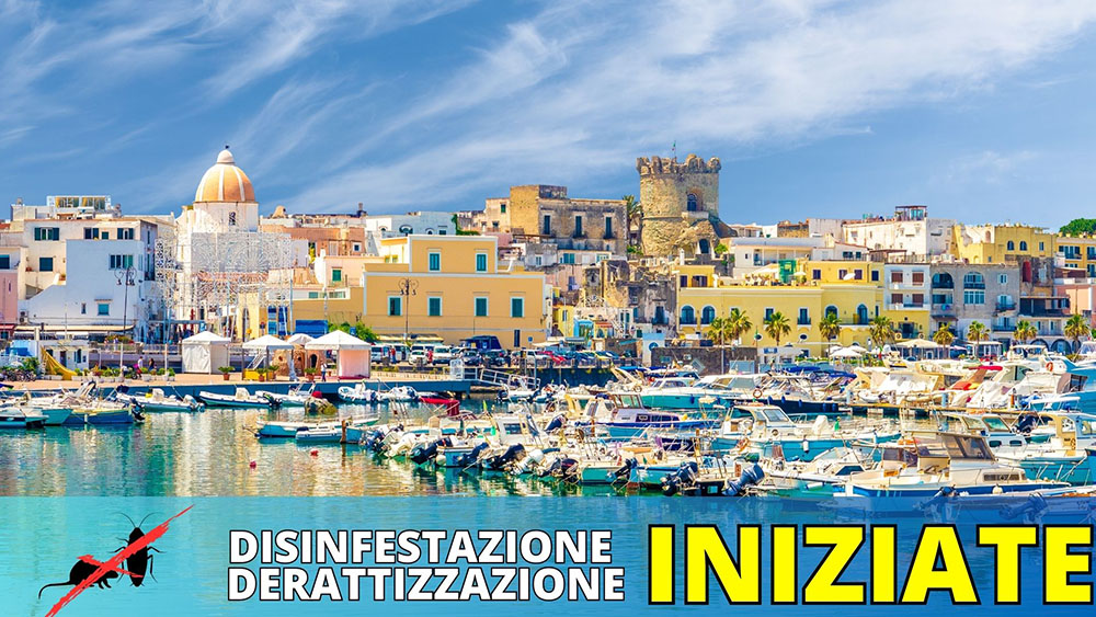 INIZIATE A FORIO DERATTIZZAZIONE E DISINFESTAZIONE