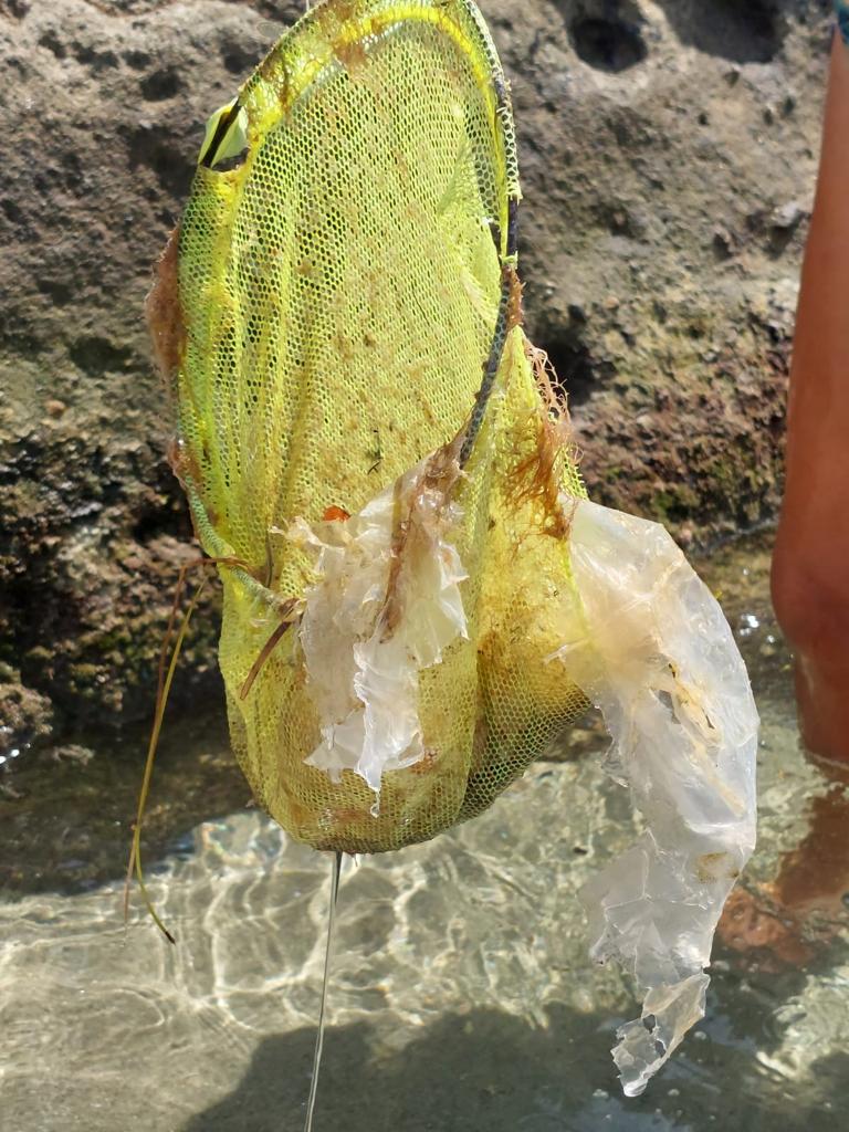 Le correnti marine cambiano, oggi il mare di Forio è sporco (video)