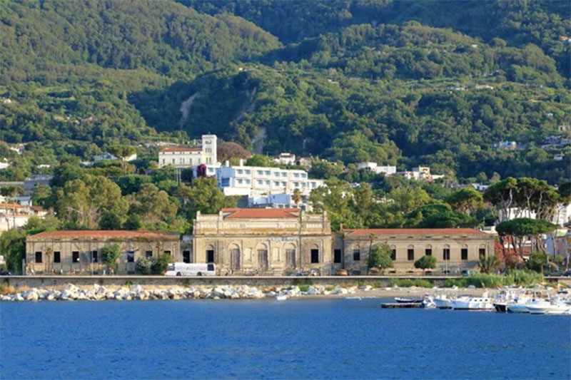 CASAMICCIOLA. ARRIVANO LE ORDINANZE PER LA MANUTENZIONE DEL VERDE PRIVATO E LA PREVENZIONE INCENDI