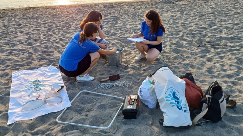 Aiutaci a cercare nidi di Caretta Caretta sulle spiagge di Ischia! L’appello