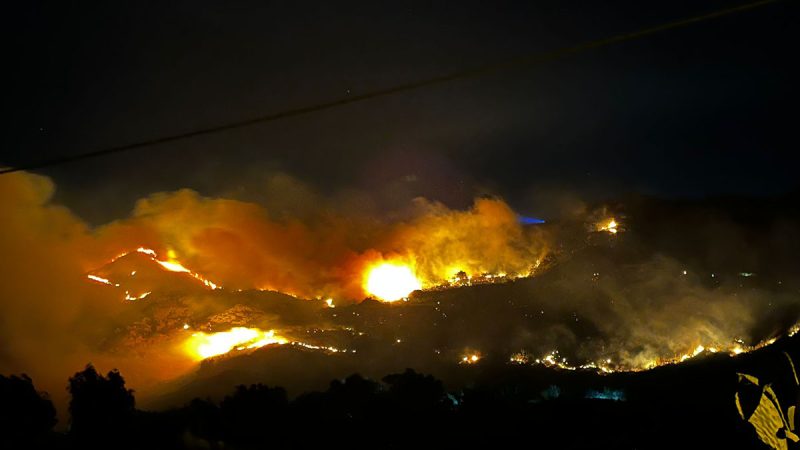 SONO CIRCA CINQUE GLI ETTARI DI VEGETAZIONE ANDATI IN FUMO IERI SERA A FORIO