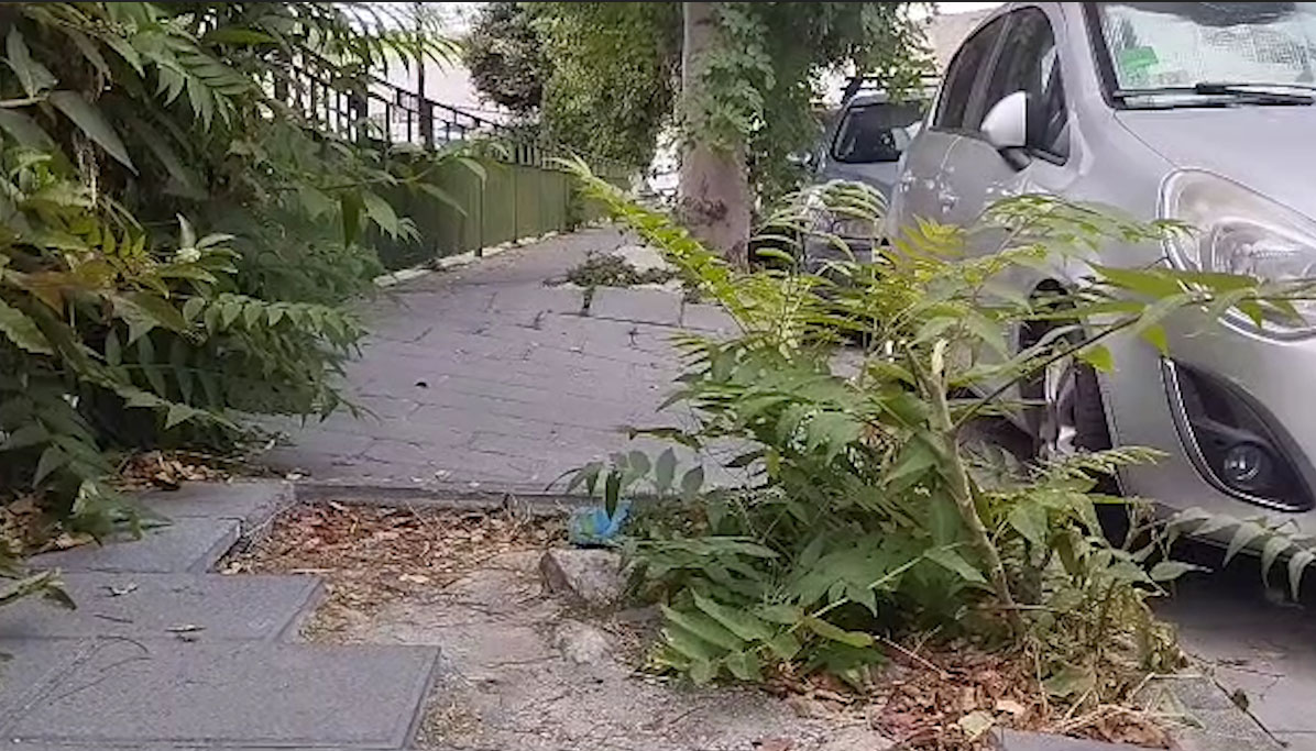 FORIO, VIA CAVA CAMPO A MONTERONE ABBANDONATA TRA ERBACCE, SPORCIZIA, TOPACCI E DISSESTO STRADALE (video)