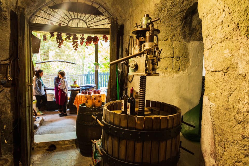 ISCHIA, AL VIA ANDAR PER CANTINE: L’APPUNTAMENTO CHE CELEBRA STORIA, CULTURA ED ENOGASTRONOMIA