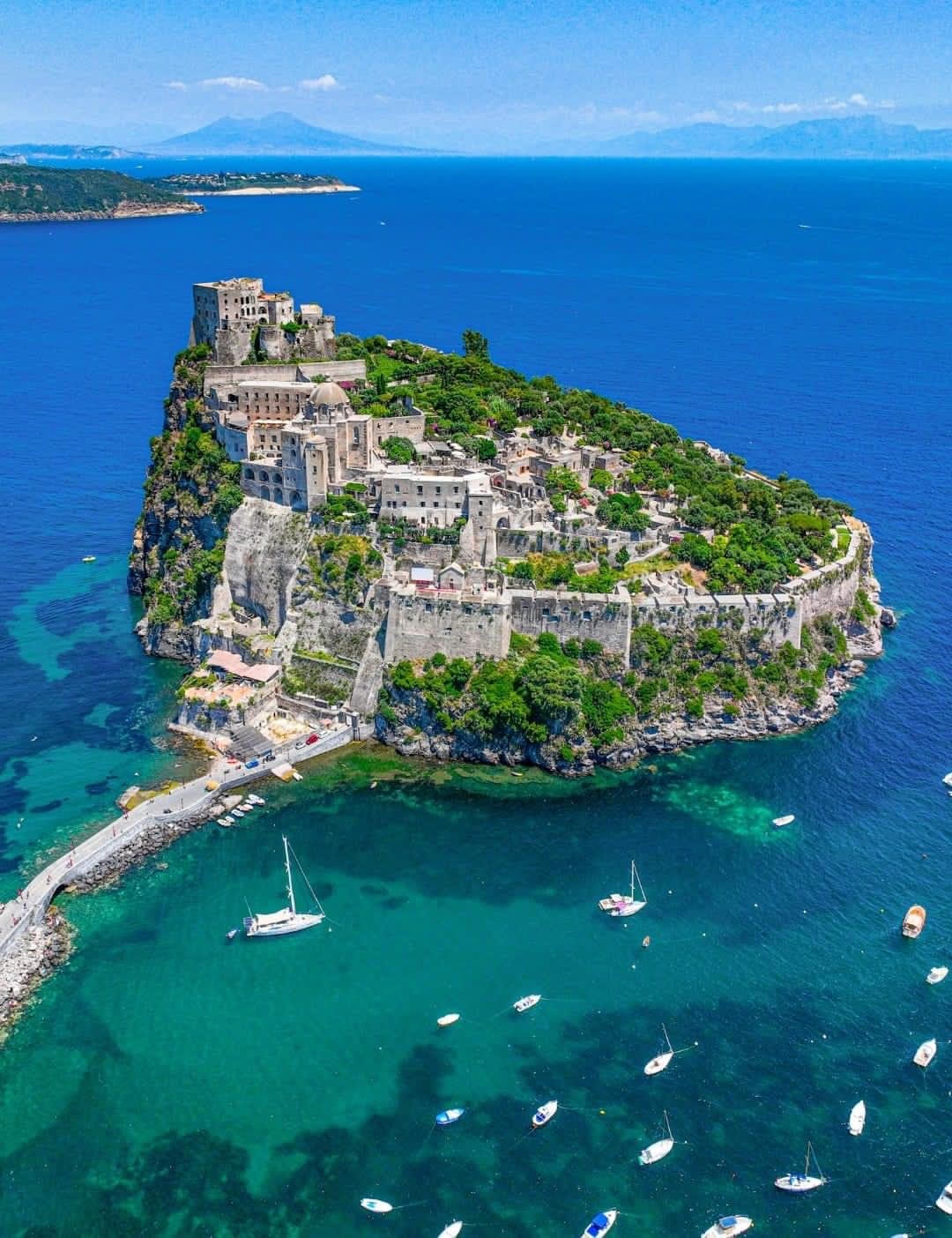 LA POSIDONIA DEVE ESSERE SALVAGUARDATA, NELLA BAIA DI CARTAROMANA STA SCOMPARENDO DAI FONDALI