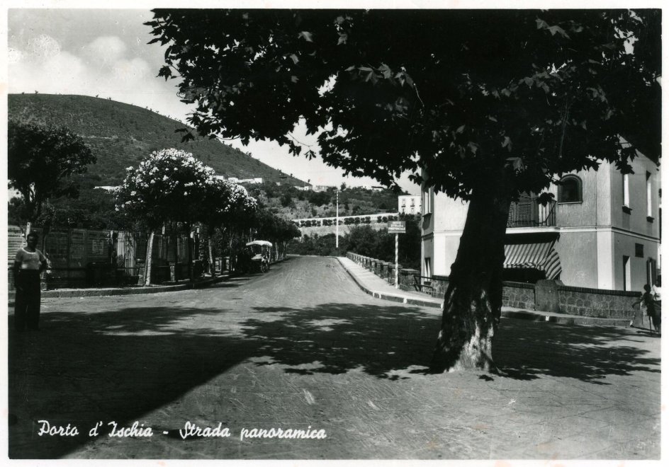 IL PLATANO “DI LAMARTINE”