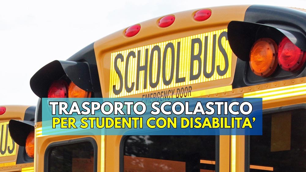 ISOLA D’ISCHIA. TRASPORTO SCOLASTICO PER STUDENTI CON DISABILITÀ