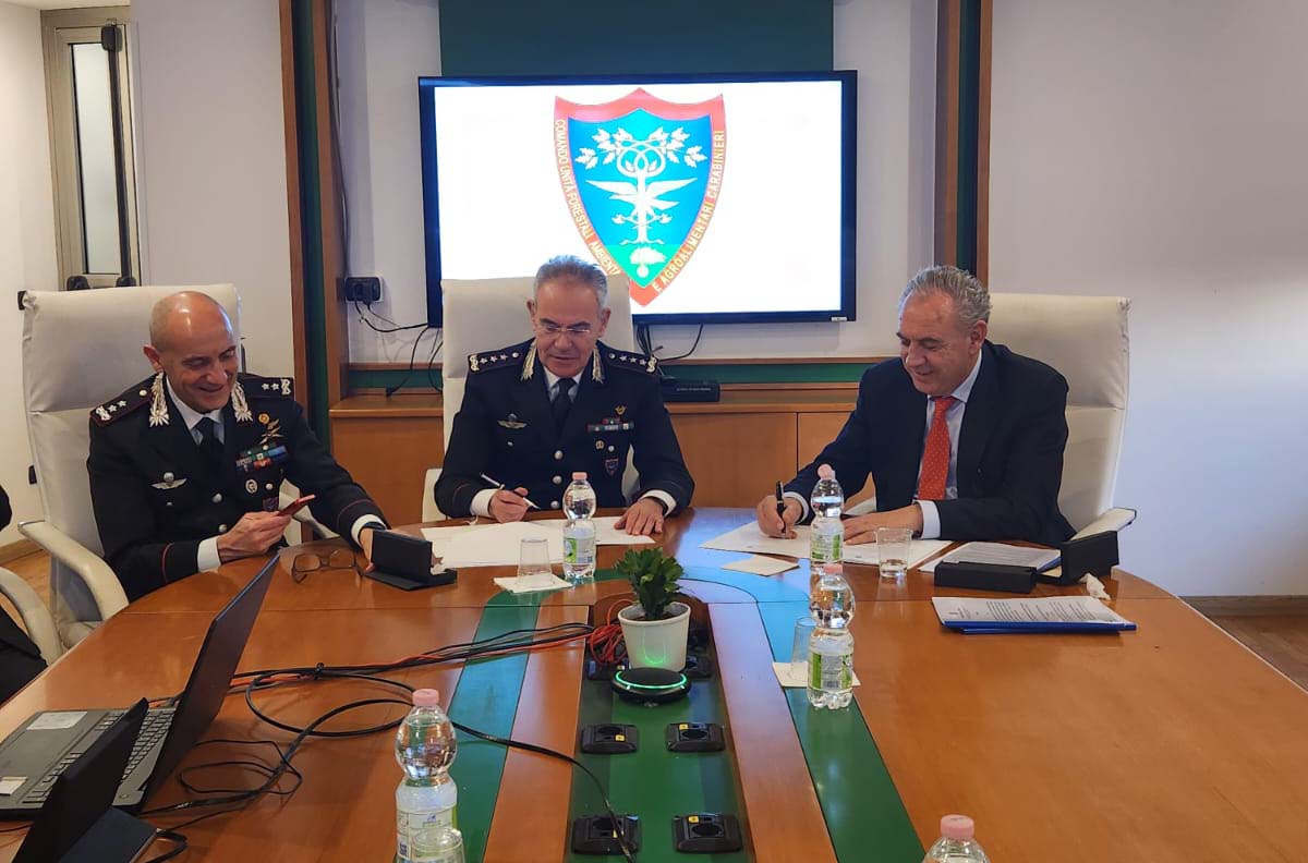 FRANA ISCHIA. FIRMATO L’ACCORDO DI COLLABORAZIONE PER ATTUARE IL PIANO DI GESTIONE FORESTALE A CASAMICCIOLA