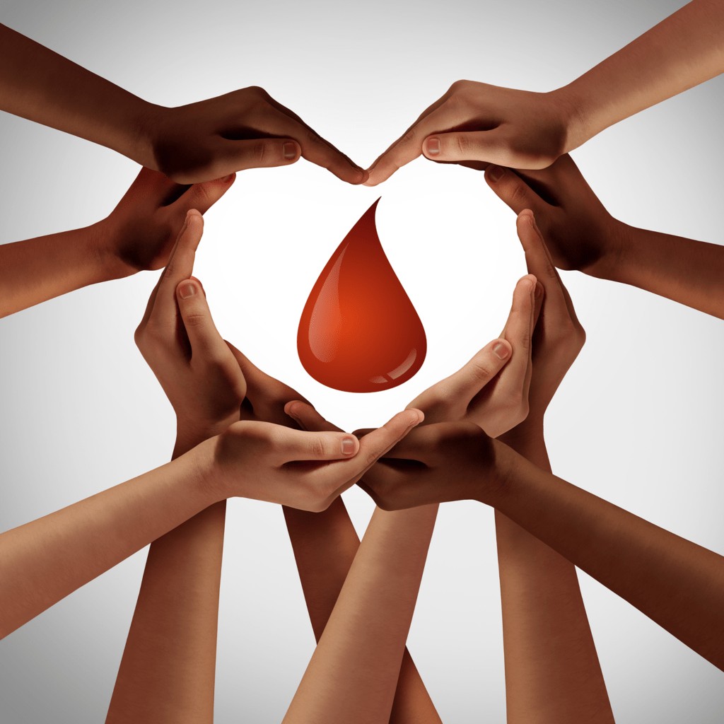 DOMENICA 10 DONAZIONE SANGUE A FORIO