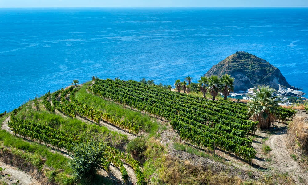 L’AMORE PER ISCHIA DEI CULTORI DELLA BELLEZZA