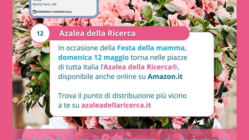 IL 12 MAGGIO ANCHE A FORIO L’AZALEA DELLA RICERCA AIRC