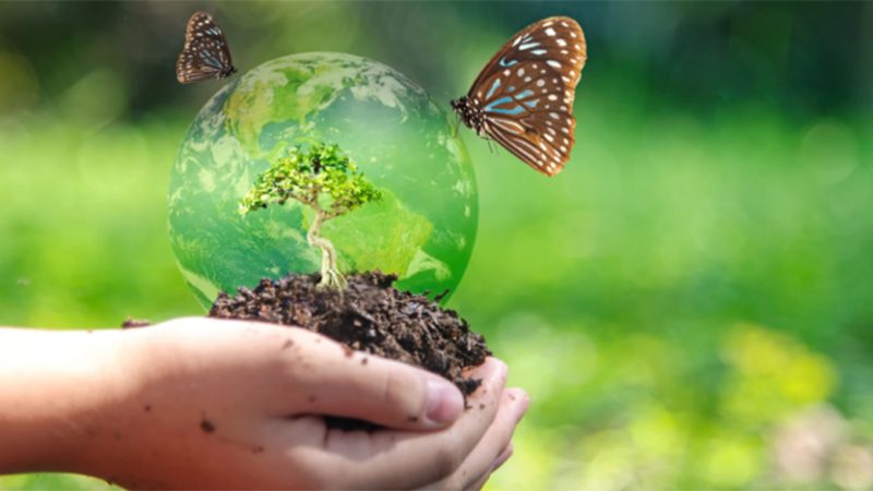 GIORNATA MONDIALE DELLA BIODIVERSITÀ, PERETTI (FEDERICO II): PROTEGGIAMO QUELLA NATURALE DALLA MINACCIA SINTETICA