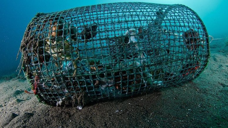 DUE PESCATORI DI FORIO RIPULISCONO IL MARE DA ATTREZZI DA PESCA ABBANDONATI (video)