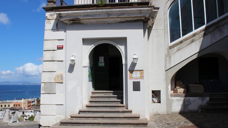 DOMENICA 14 GIUGNO ALLE ORE 11:00 VISITA GUIDATA GRATUITA PRESSO IL MUSEO ARCHEOLOGICO DI PITHECUSAE
