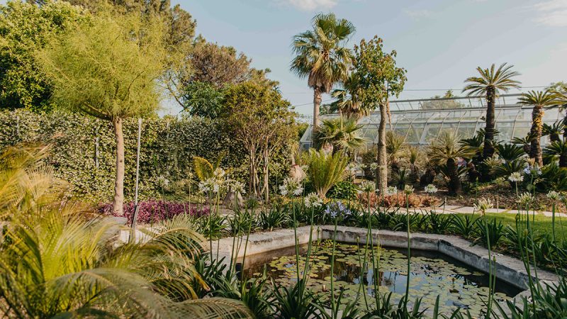 VIVARIO: BARANO INAUGURA IL SUO PARADISO DI WELLNESS, COMFORT E RARITÀ BOTANICHE