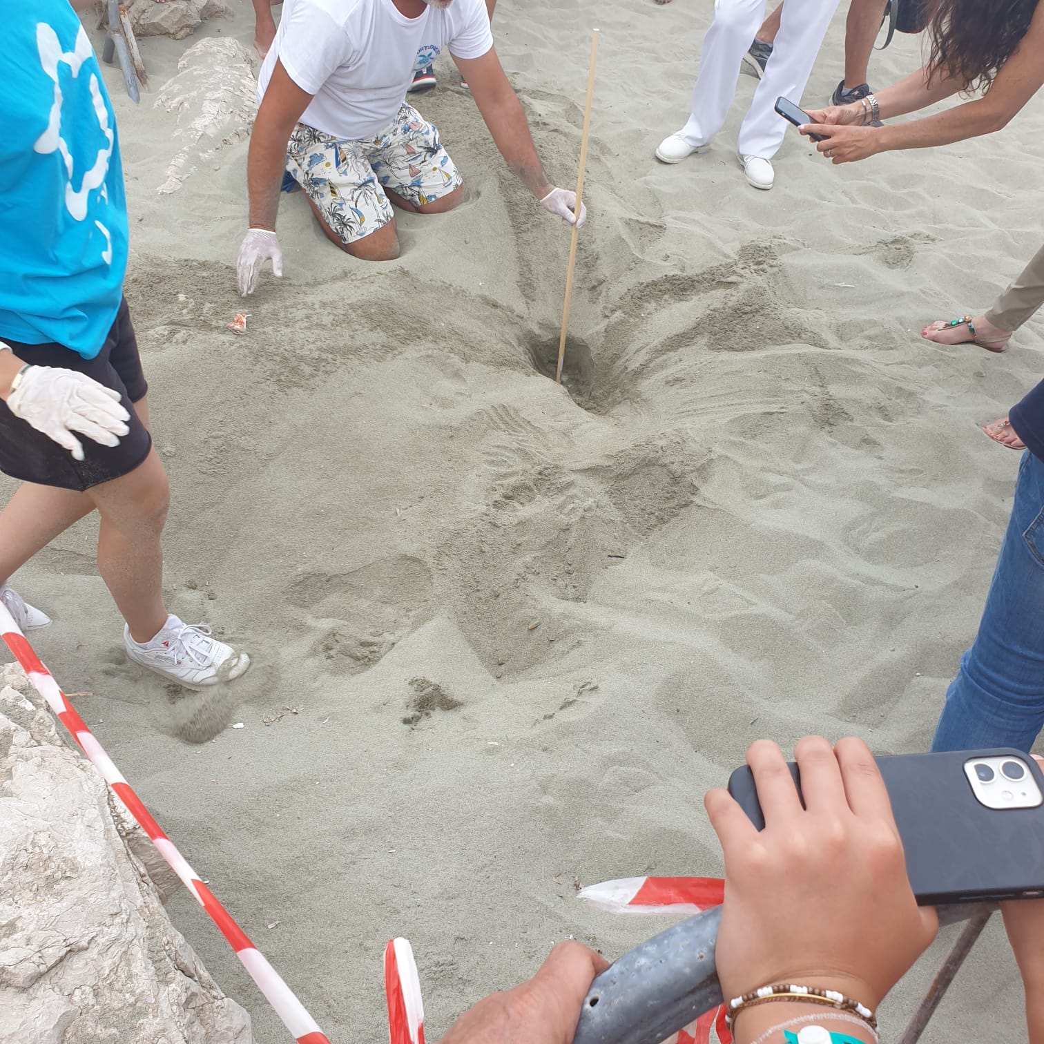 PRIMO NIDO DEL 2024 DI TARTARUGA MARINA NEL REGNO DI NETTUNO: CARETTA CARETTA DEPONE A FORIO (video)