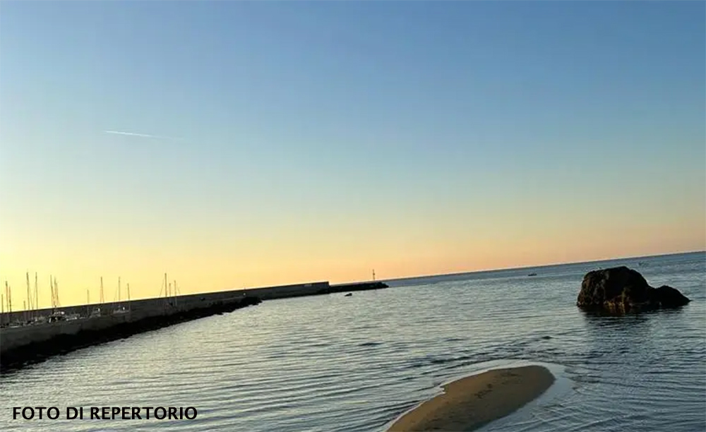 CARETTA CARETTA ALLA SPIAGGIA DELL’IMPICCATO A FORIO (video)