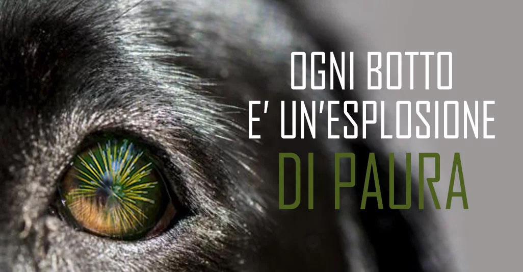 BOTTI DA ORBI!