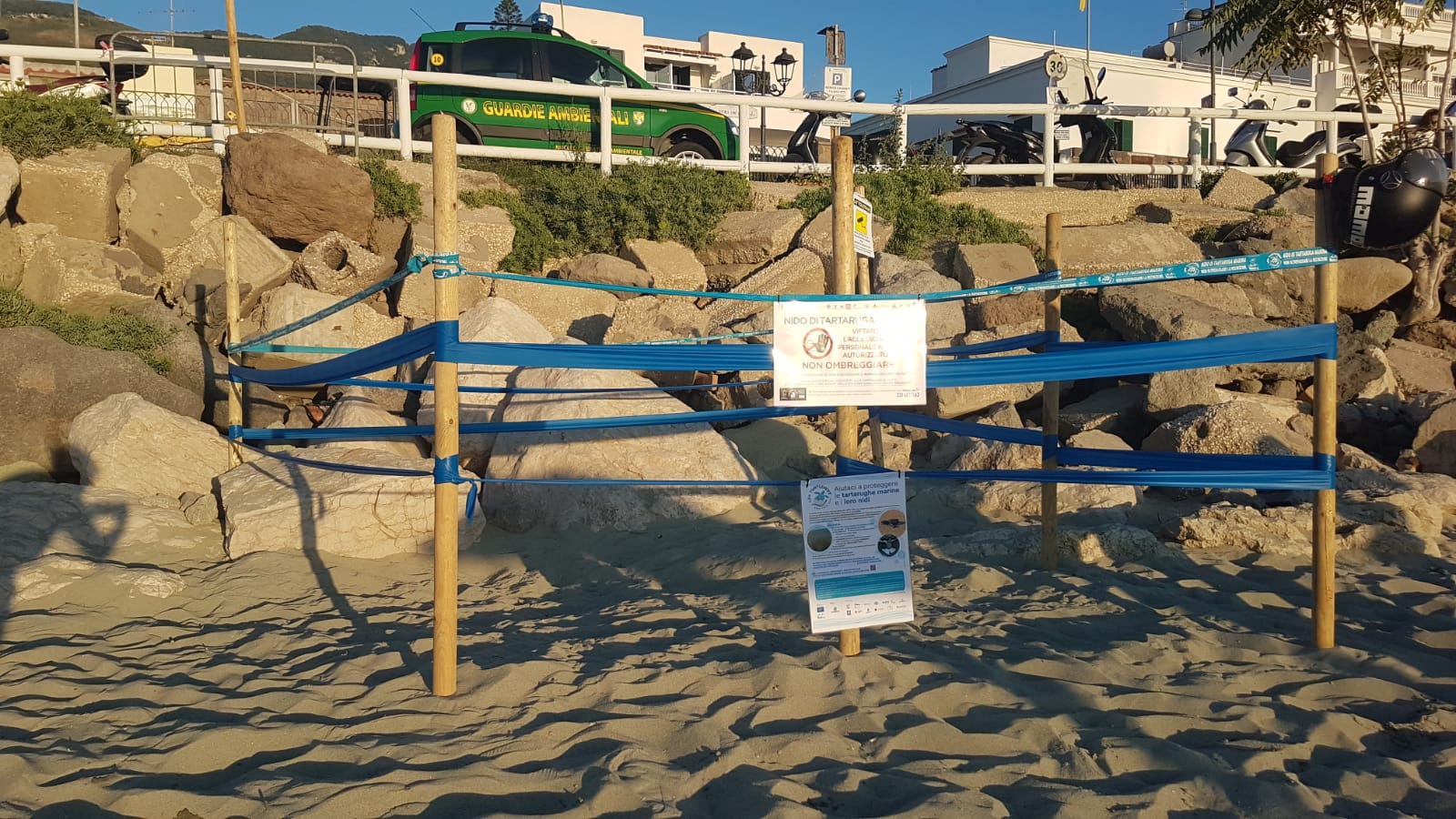 NIDI DI TARTARUGHE IN CAMPANIA CE NE SONO 60, NESSUNA È CONTROLLATA H24