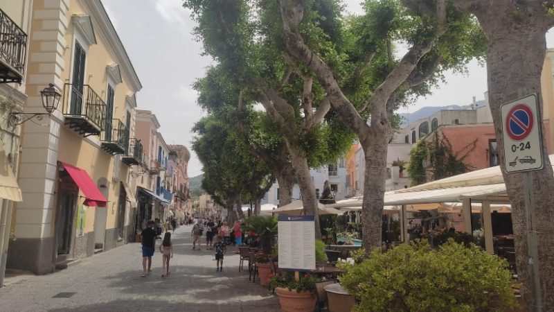 SEGNALETICA VERTICALE SENZA SENSO A FORIO