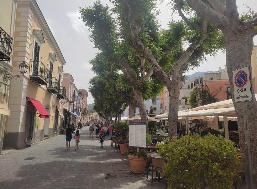 SEGNALETICA VERTICALE SENZA SENSO A FORIO