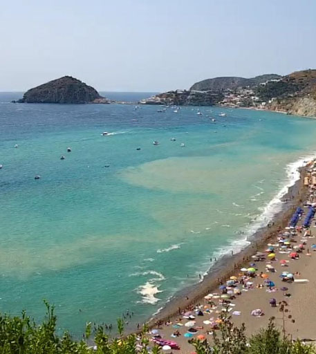 QUELL’ACQUA MARRONE AI MARONTI DA DOVE PROVIENE?