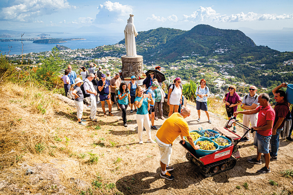 “ANDAR PER CANTINE XVI”, DAL 20 SETTEMBRE AL 6 OTTOBRE TORNANO PROTAGONISTE LE CANTINE STORICHE DELL’ISOLA D’ISCHIA