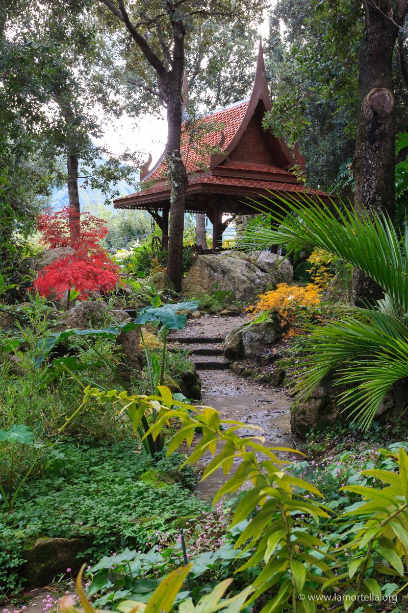 GIARDINI LA MORTELLA, ISCHIA. IL FASCINO DELL’HORTICULTURAL TOURISM NON VA IN LETARGO