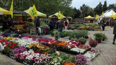 SALERNO IN FLORA 2025: NATURA, SOSTENIBILITÀ E INCLUSIONE NEL CUORE DELLA CITTÀ