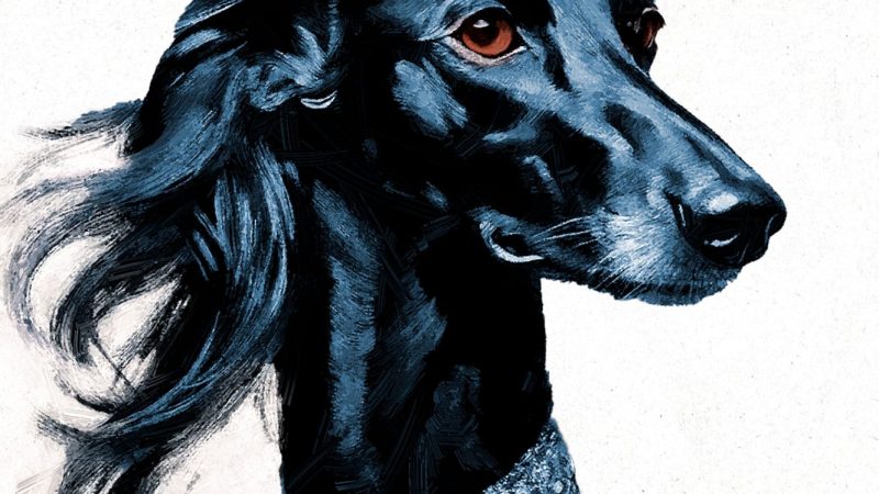 TOMMASO ZORZI PRESENTA “DIVINA!”