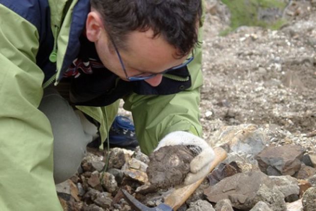 HERZLICH WILLKOMMEN AUF ISCHIA DEUTSCHE VULKANOLOGISCHE GESELLSCHAFT E.V! (Benvenuti a Ischia Deutsche Vulkanologische Gesellschaft E.V!)