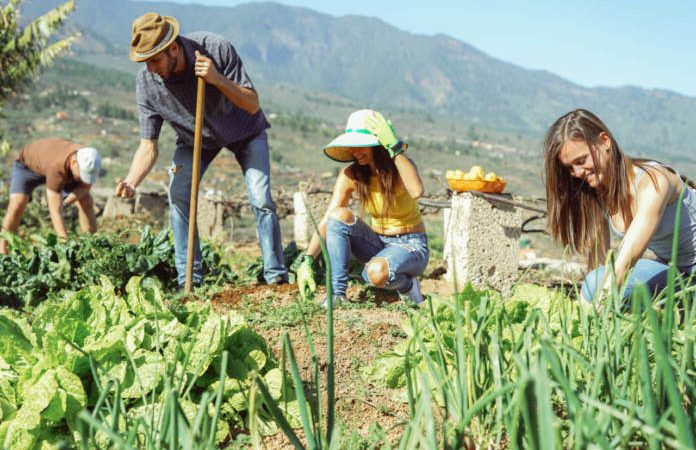 SOTTOSEGRETARIO D’ERAMO E NAPPI INCONTRANO AGRICOLTORI E IMPRESE DI ISCHIA: FARE RETE PER VALORIZZARE SETTORE