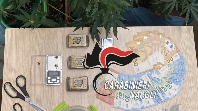 SERRA E DROGA IN CASA A FORIO. CARABINIERI ARRESTANO COPPIA DI PUSHER