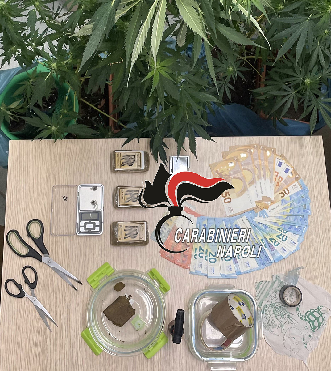 SERRA E DROGA IN CASA A FORIO. CARABINIERI ARRESTANO COPPIA DI PUSHER