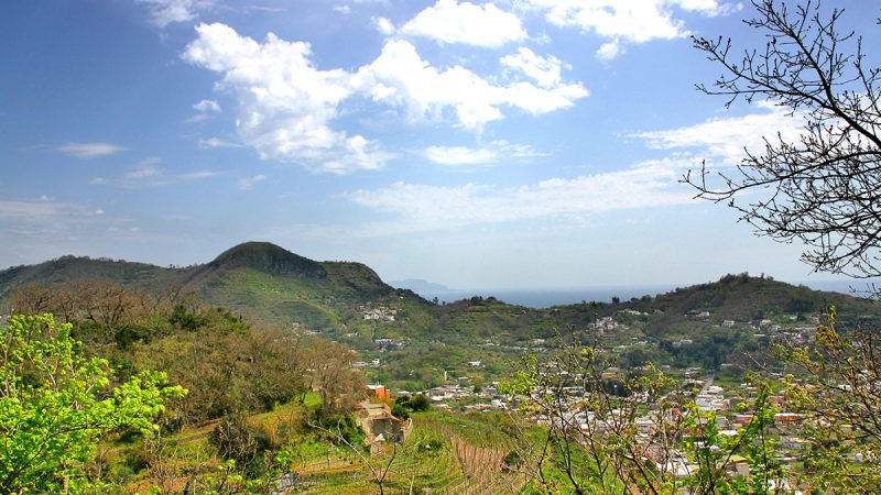 UNA NUOVA ETICA PER L’AMBIENTE