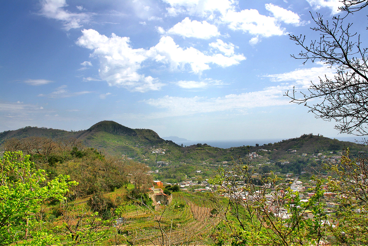 UNA NUOVA ETICA PER L’AMBIENTE