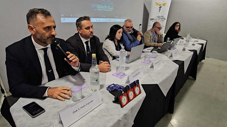 FISIOTERAPIA E RIABILITAZIONE PER LE PATOLOGIE DEL PAVIMENTO PELVICO: A LIONI ESPERTI A CONFRONTO (video)