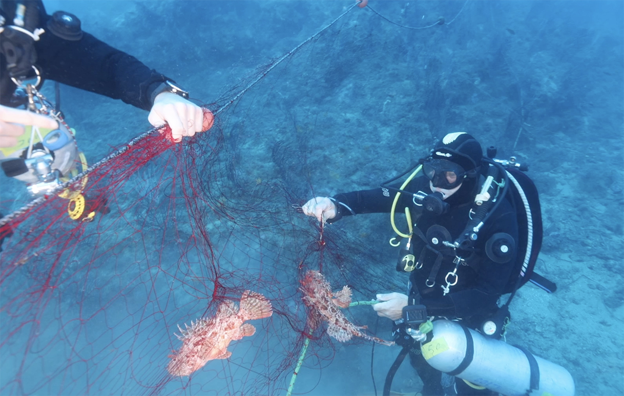 ISCHIA, RETI ILLEGALI A SANT’ANGELO IN AREA MARINA PROTETTA: FONDALI DI NUOVO LIBERI (video)
