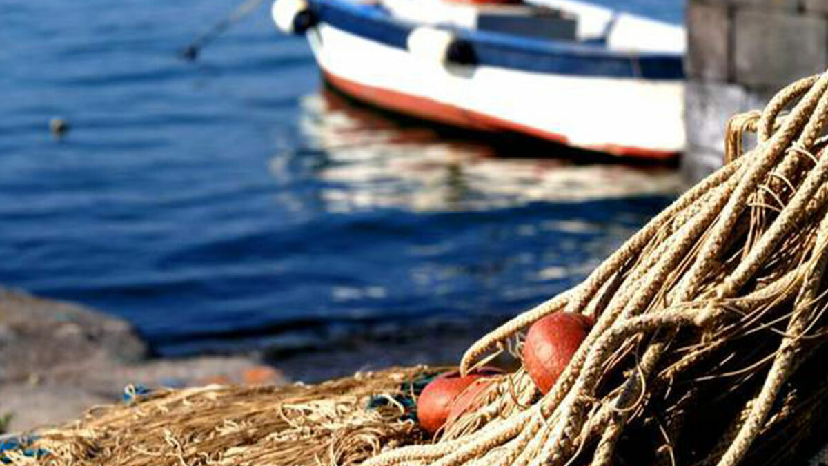 ALFA TESTBED: LA PESCA DEL FUTURO. A ISCHIA IL WORKSHOP DEL PROGETTO EUROPEO MED-HUBS