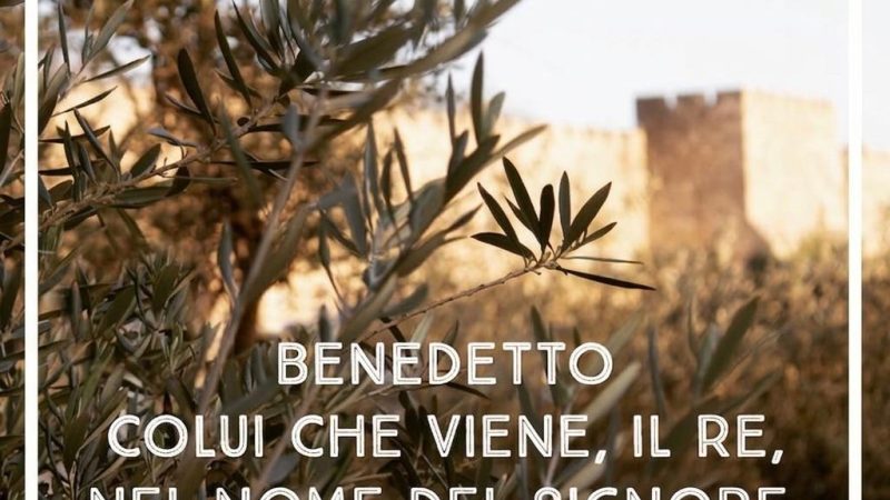 «BENEDETTO COLUI CHE VIENE, IL RE, NEL NOME DEL SIGNORE.» (Luca 19, 38)