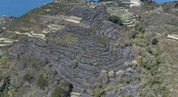 QUANDO LA REGIONE DIMENTICA LE SUE STESSE LEGGI