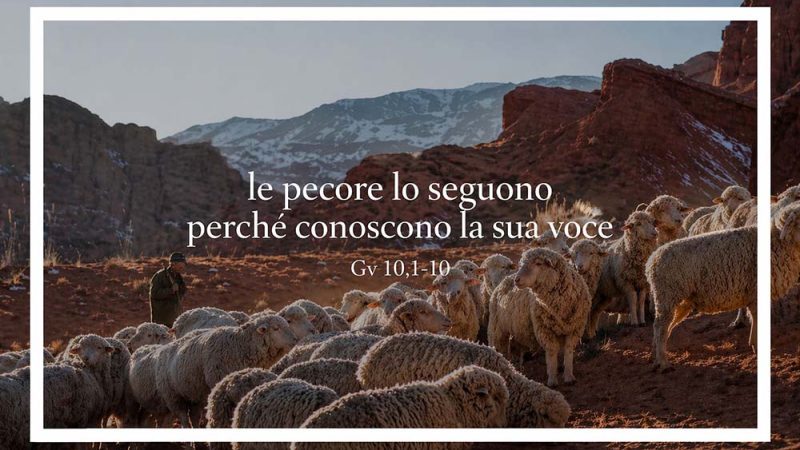 “LE PECORE LO SEGUONO PERCHÉ CONOSCONO LA SUA VOCE”
