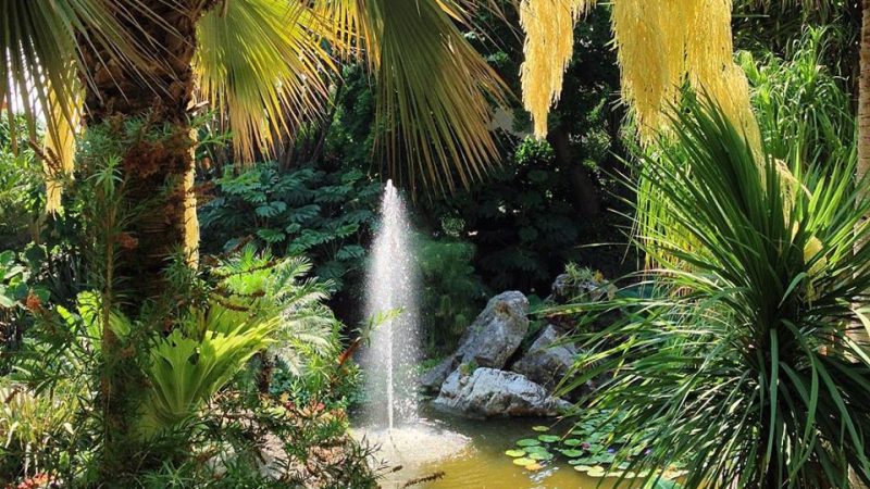 I GIARDINI LA MORTELLA PREMIATI CON IL TRIPADVISOR TRAVELERS’ CHOICE AWARDS 2026