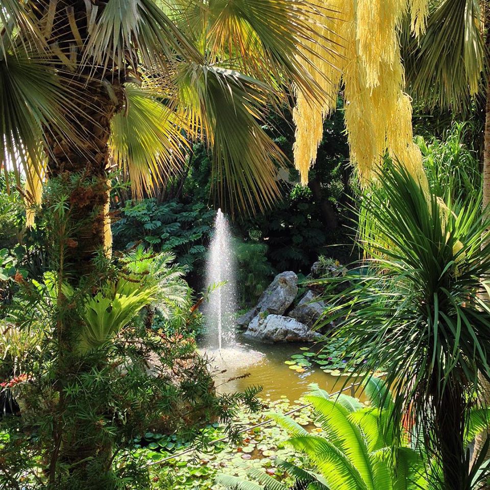 I GIARDINI LA MORTELLA PREMIATI CON IL TRIPADVISOR TRAVELERS’ CHOICE AWARDS 2026