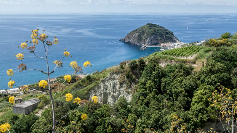 CITTÀ METROPOLITANA, APPROVATO IL RENDICONTO 2025: SOLDI IN ARRIVO ANCHE A ISCHIA PER CONSOLIDAMENTO DI COSTONI E STRADE