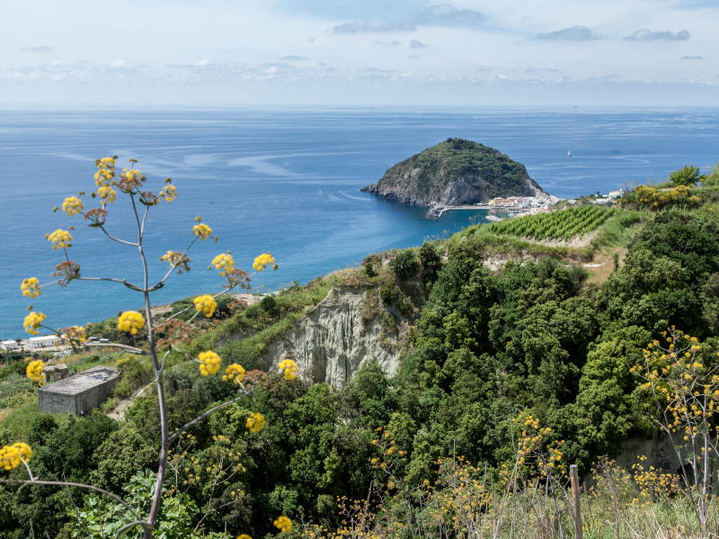 CITTÀ METROPOLITANA, APPROVATO IL RENDICONTO 2025: SOLDI IN ARRIVO ANCHE A ISCHIA PER CONSOLIDAMENTO DI COSTONI E STRADE